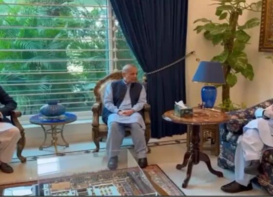 نواز شریف کا وزیراعظم آزاد کشمیر کو بڑا ٹاسک، پہلے 100 دن کا اصلاحاتی منصوبہ سونپ دیا