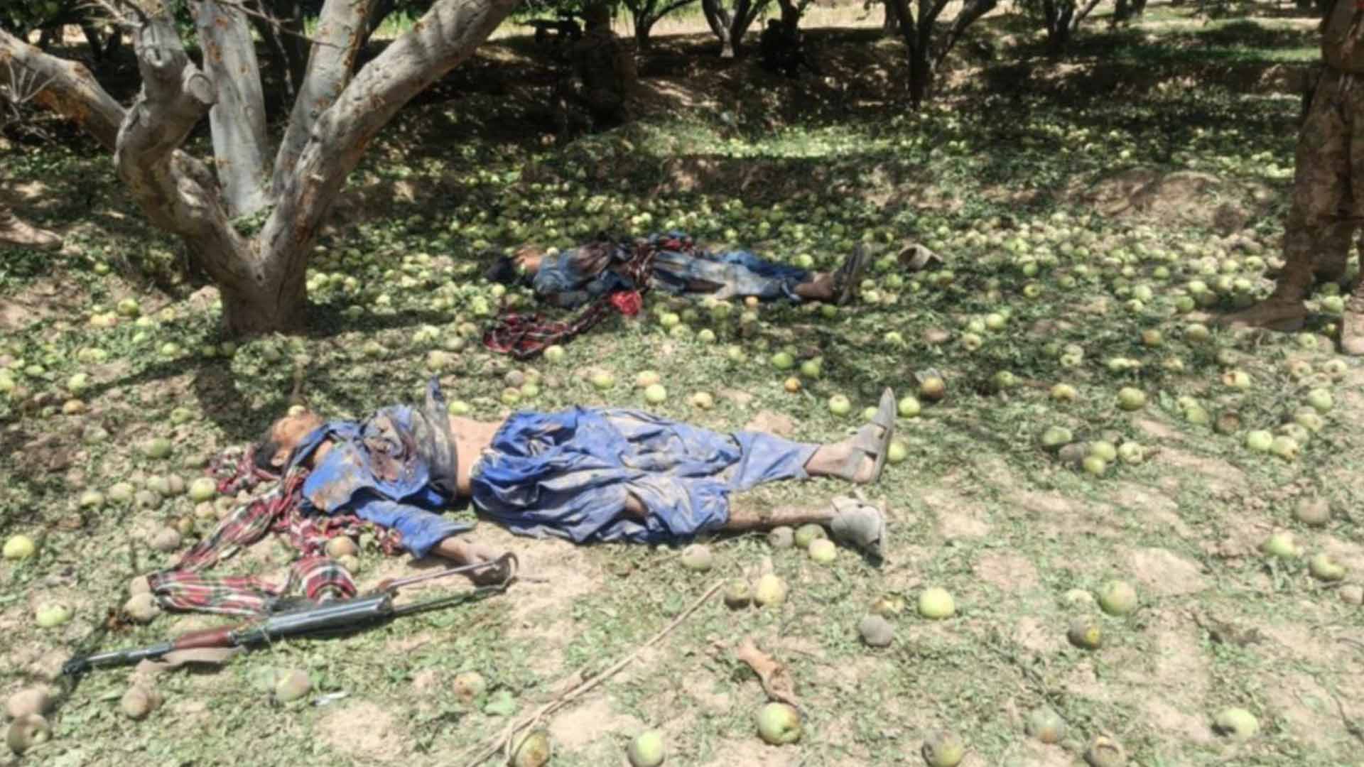آپریشن رَدُ الفتنہ 3: سیکیورٹی فورسز کی کمبیلہ اورعاصم آباد میں کامیاب کارروائی، 10 دہشت گرد ہلاک