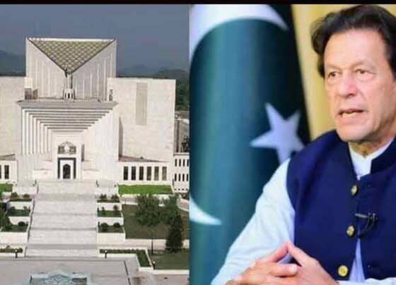 ہسپتال منتقلی کیس: عظمیٰ خان کی توہینِ عدالت پر فوری سماعت کی دوسری درخواست بھی مسترد