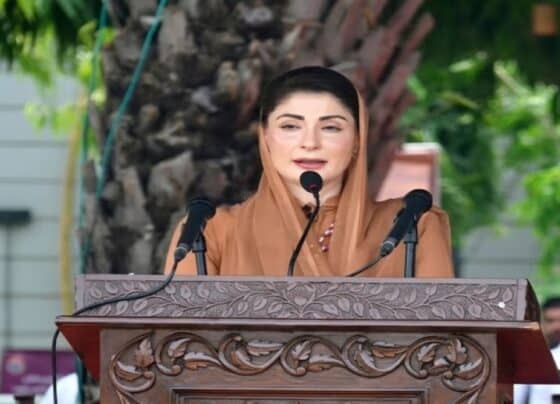 صوبے سے بدعنوان عناصر کا خاتمہ کردیا گیا ، عوام کا پیسہ کرپشن کی نذر نہیں ہونے دینگے ، وزیراعلیٰ مریم نواز