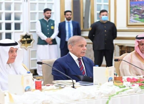 وزیراعظم شہباز شریف کا پاکستان، سعودی عرب کے درمیان اقتصادی و زرعی تعاون بڑھانے پر زور