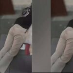 چور کی قسمت خراب، گھر میں داخل ہوا مگر چوری سے پہلے ہی سو گیا