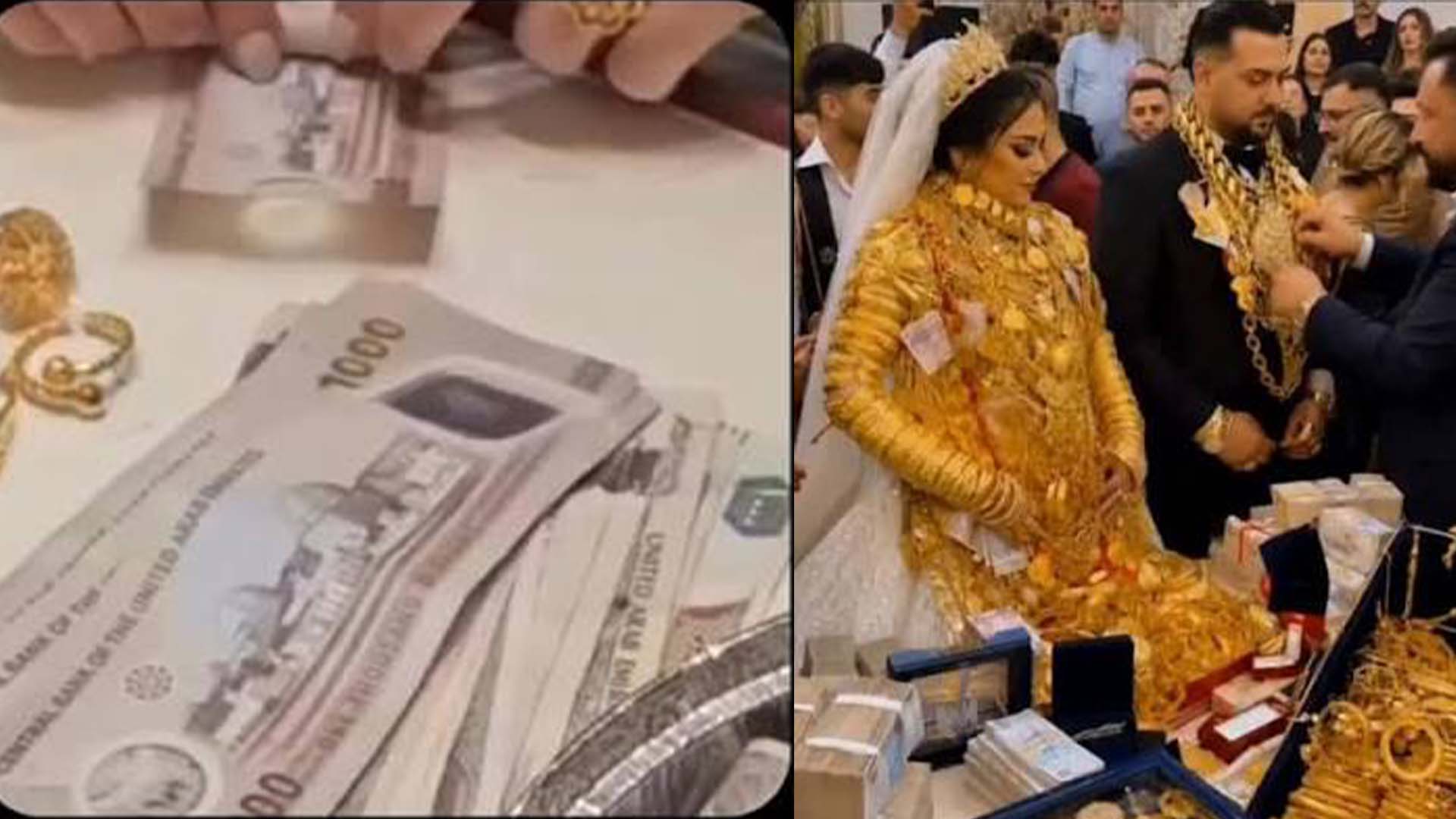 شادی یا دولت کی نمائش,مہمانوں کو کیا کیا ملا؟