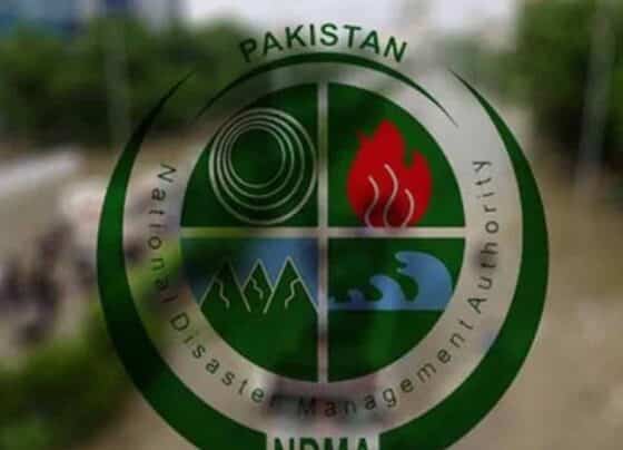 این ڈی ایم اے