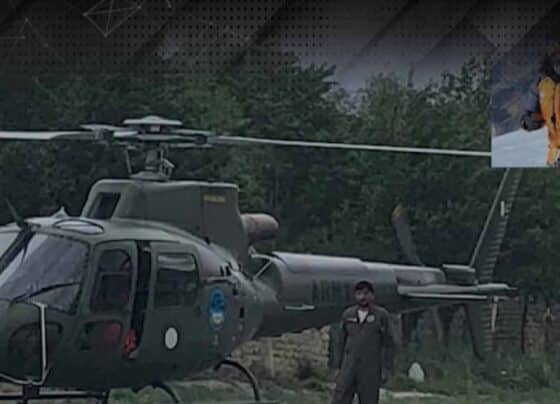 براڈ پیک