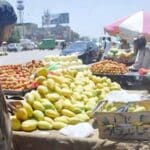 ریڑھی بان