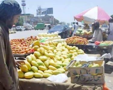 ریڑھی بان