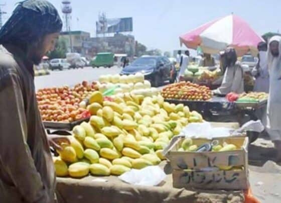 ریڑھی بان