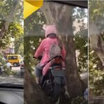 درخت پر اسکوٹی، خاتون آخر وہاں تک پہنچی کیسے؟ ویڈیو نے سب کو حیران کردیا
