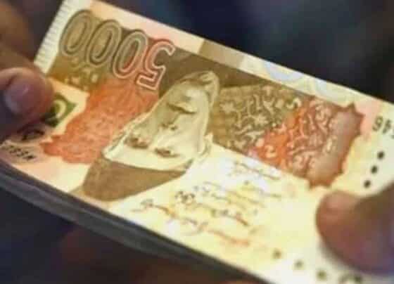 طلبا