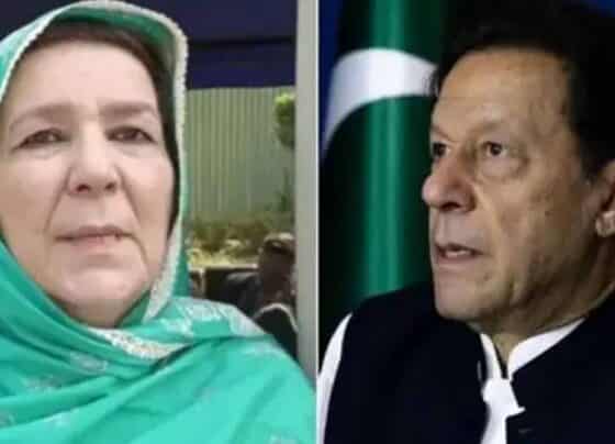 عمران خان نورین نیازی