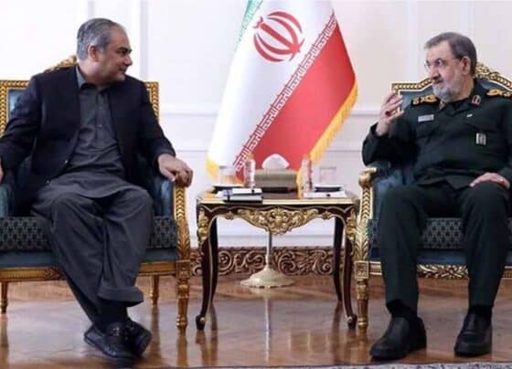 محسن نقوی