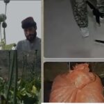 طالبان رجیم اور منشیات  کا مکرودھندا بے نقاب،خطے کی سلامتی کو نیا خطرہ