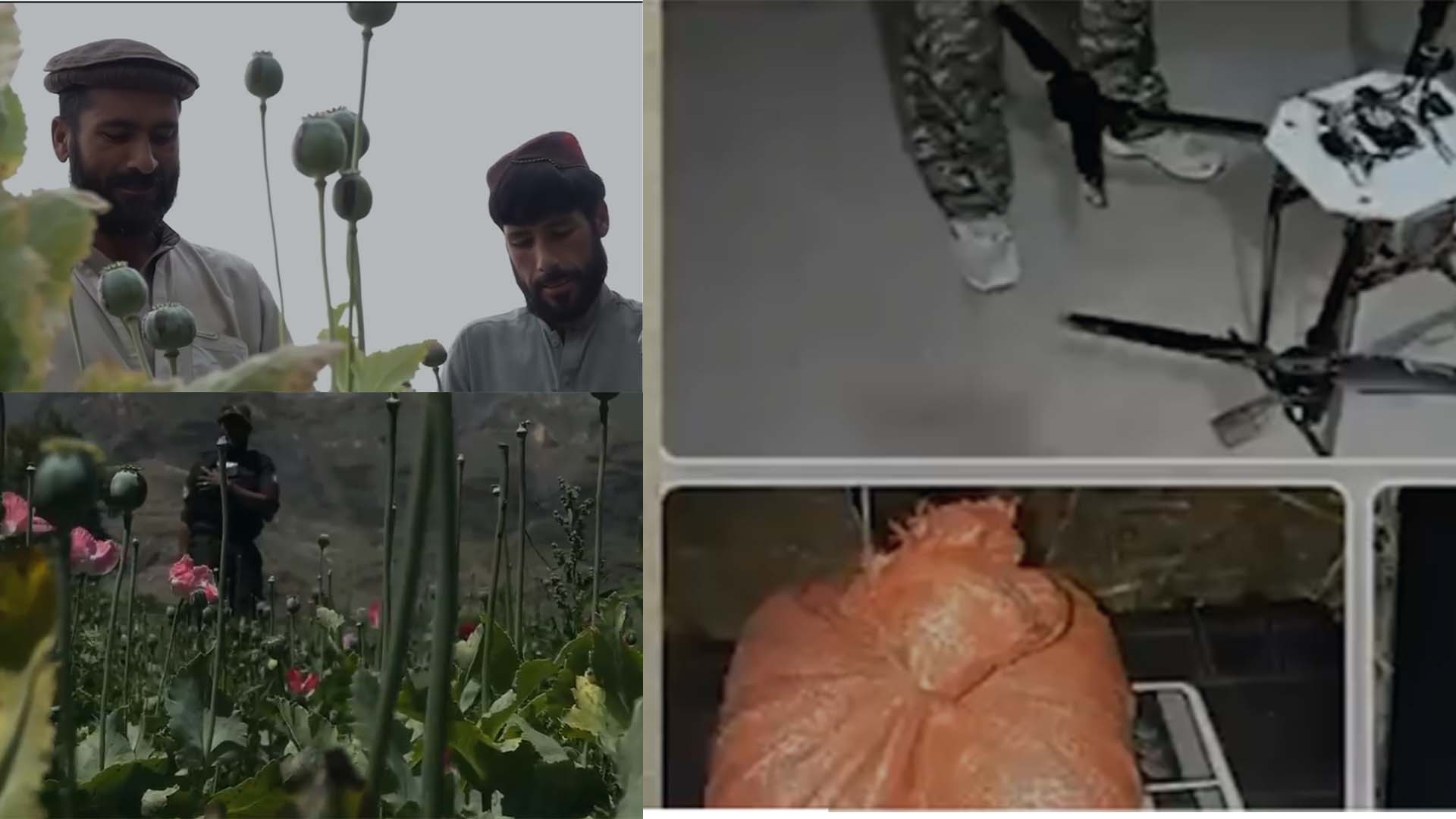 طالبان رجیم اور منشیات  کا مکرودھندا بے نقاب،خطے کی سلامتی کو نیا خطرہ