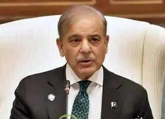 وفاقی کابینہ