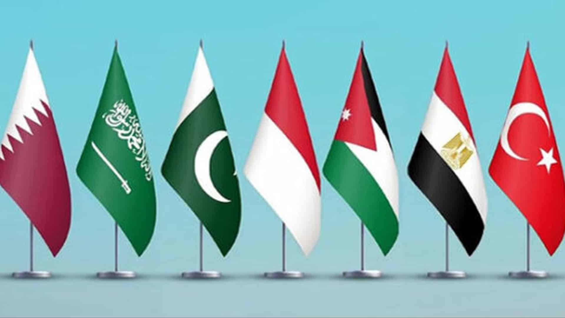 فلسطینیوں کی جبری بے دخلی قطعاً قبول نہیں، پاکستان اور 7 اسلامی ممالک کا اسرائیل کو سخت ترین انتباہ، مشترکہ اعلامیہ جاری