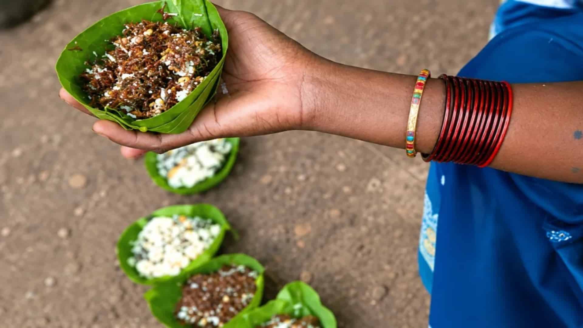سرخ چیونٹیوں سے چٹنی ! بھارت میں منفرد کھانے کی روایت سامنے آگئی