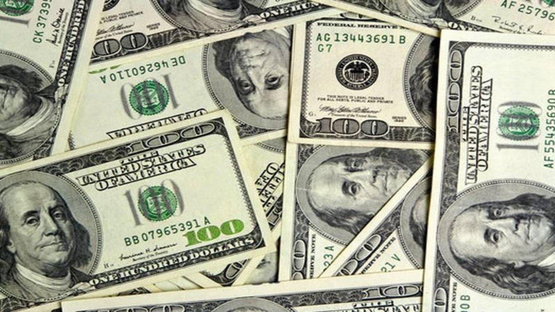 گاڑی کی نمبرپلیٹ نے قسمت بدل دی، خاتون نے ایک لاکھ ڈالر جیت لیے