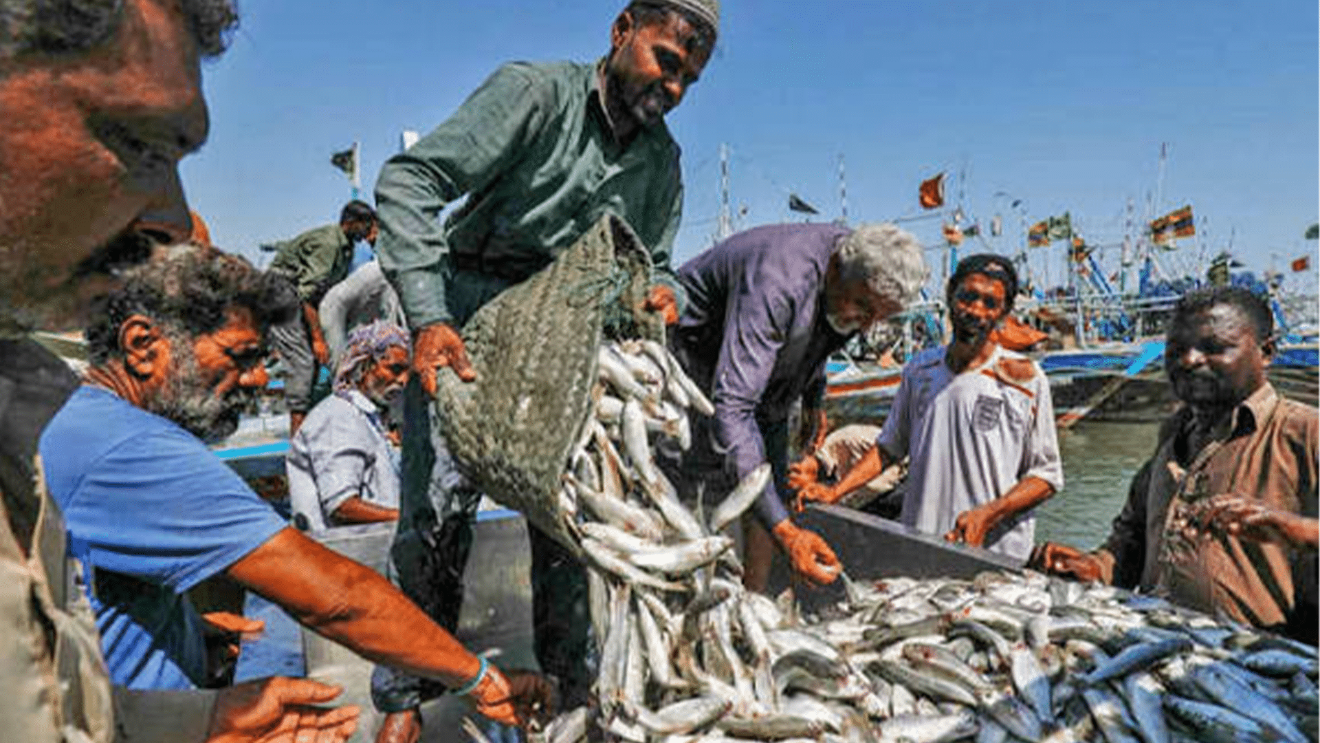 پاکستانی ماہی مصنوعات پر دنیا کا اعتماد بحال، برآمدات نے نیا ریکارڈ قائم کردیا