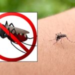 مچھر اڑ نہیں سکیں گے، فرانس کے قصبے میں عجیب و غریب حکم جاری