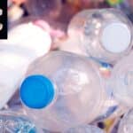 پلاسٹک بوتلیں اب بنیں گی کمائی کا ذریعہ،  شہری کیسے رقم حاصل کرسکتے ہیں؟