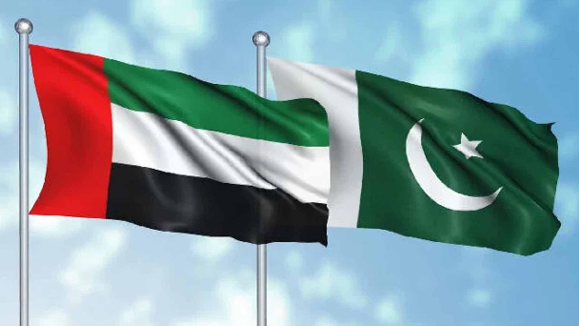 یو اے ای میں  مقیم پاکستانیوں کے لیے بڑی خوشخبری، اہم سہولت  مل گئی