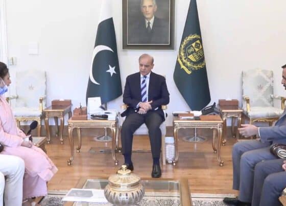 وزیراعظم رضیہ نورین