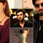علیزے شاہ کی پوسٹ، شاہویر کادوانی کے ڈیبیو سے جوڑ دی گئی