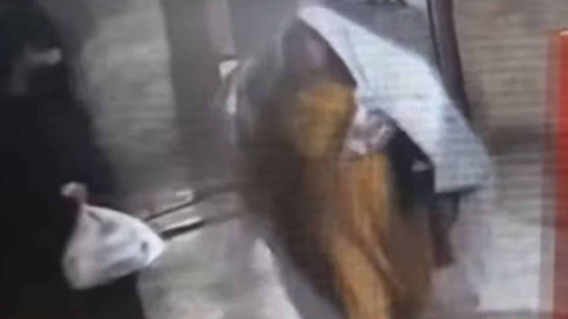 پشاور، لیڈی ریڈنگ ہسپتال سے نومولود بچہ اغوا