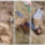 آپریشن ردُّالفتنہ 3: نوشکی میں سیکیورٹی فورسز کی کارروائی، فتنۃ الہندوستان کے 5 دہشت گرد ہلاک