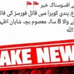 کالعدم ایکشن کمیٹی کا گمراہ کن اور بے بنیاد پروپیگنڈا بے نقاب ، جنوبی باغ میں فائرنگ کا کوئی واقعہ  پیش نہیں آیا