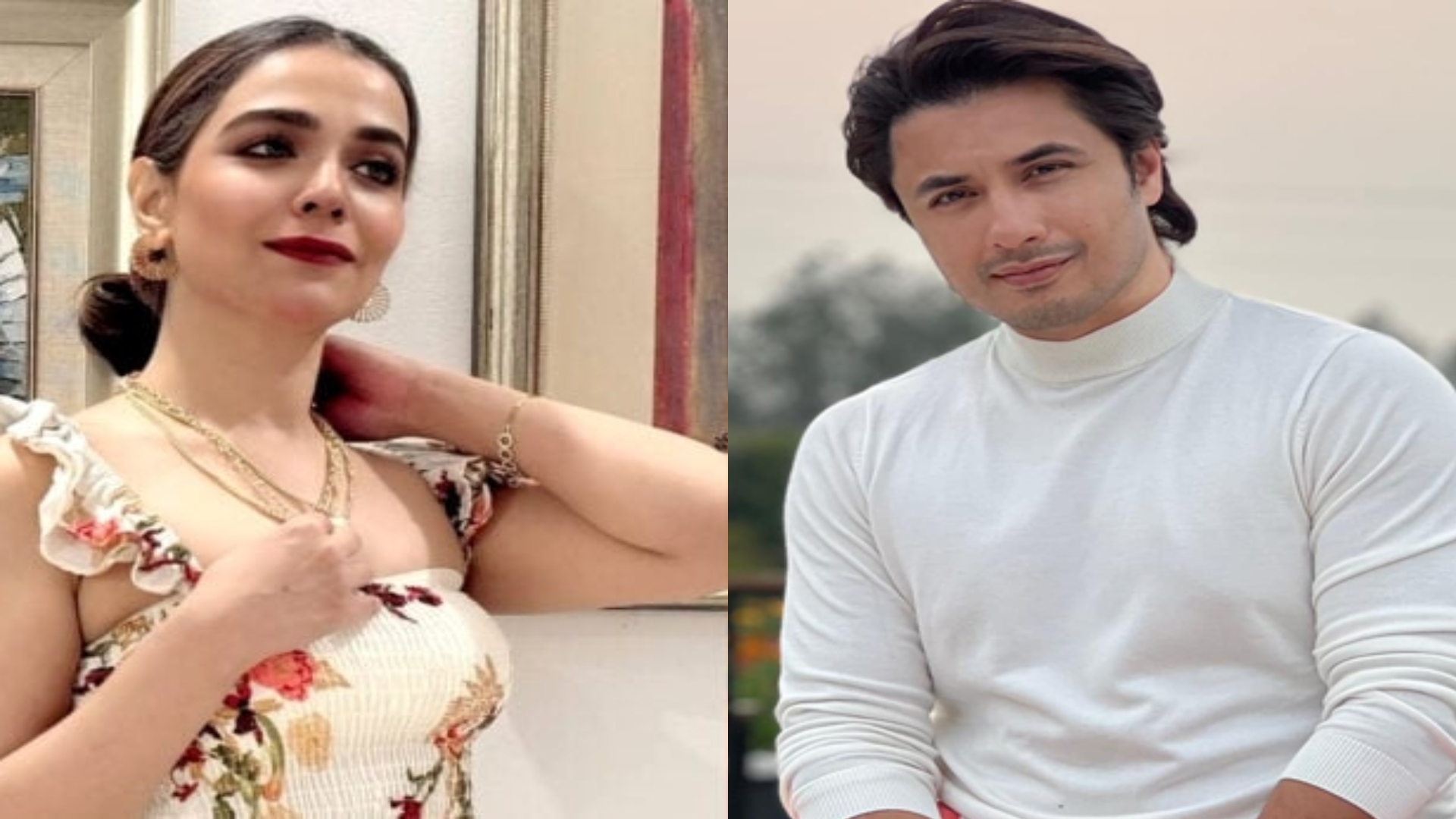 علی ظفر اور حمائمہ ملک ایک ساتھ، نئی پاکستانی کرائم سیریز میں دھوم مچانے کو تیار