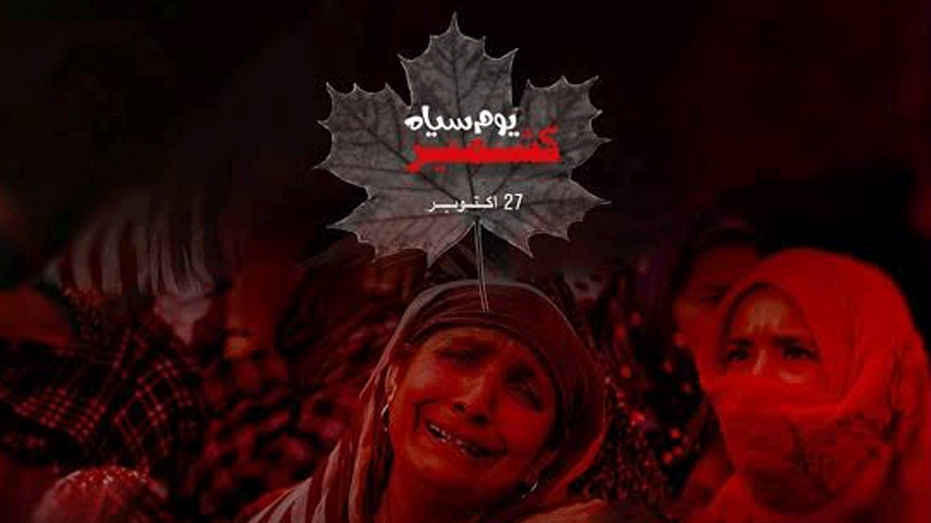 پاکستان ہر محاذ پر کشمیریوں کے ساتھ کھڑا ہے، 27 اکتوبر کو ملک بھر میں یومِ سیاہ منانے کا اعلان