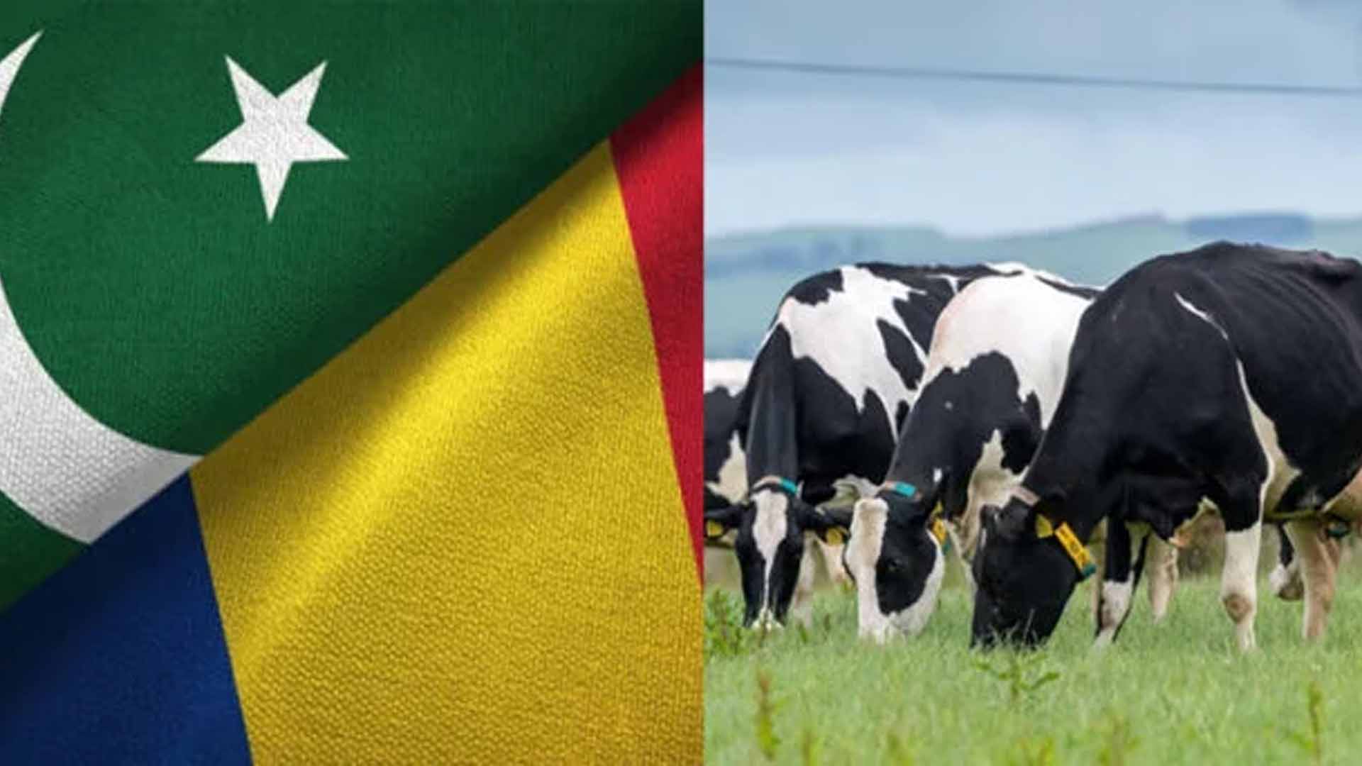 اہم یورپی ملک میں پاکستانیوں کیلئے کاروبار کے نئے دورازے کھل گئے
