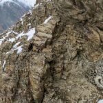 پاکستانی فوٹوگرافر کی تصویر نے عالمی مقابلے میں سب کی توجہ کھینچ لی