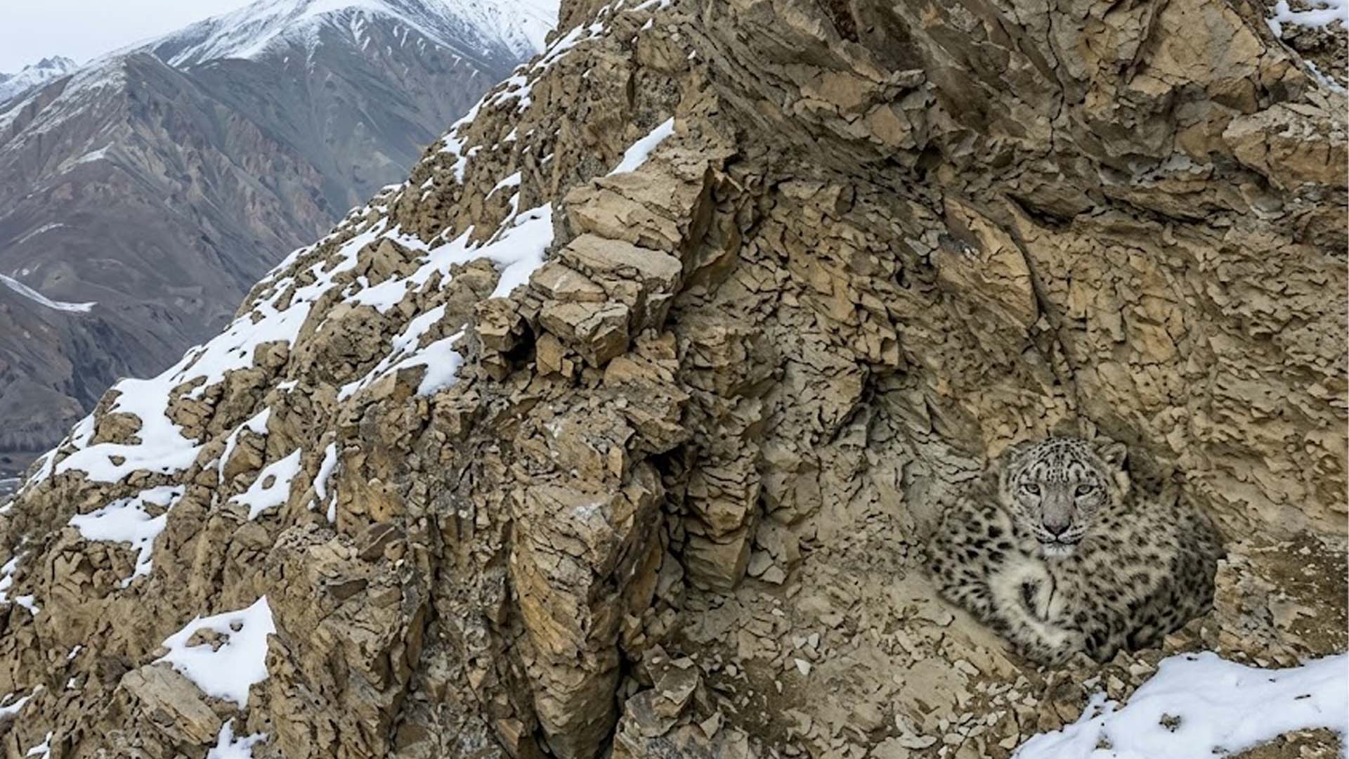 پاکستانی فوٹوگرافر کی تصویر نے عالمی مقابلے میں سب کی توجہ کھینچ لی