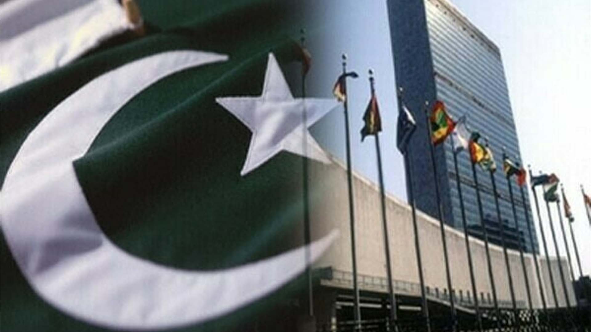 پاکستانیوں کے لیے اقوام متحدہ میں ملازمتوں کے مواقع، متعدد شعبوں میں بھرتیاں
