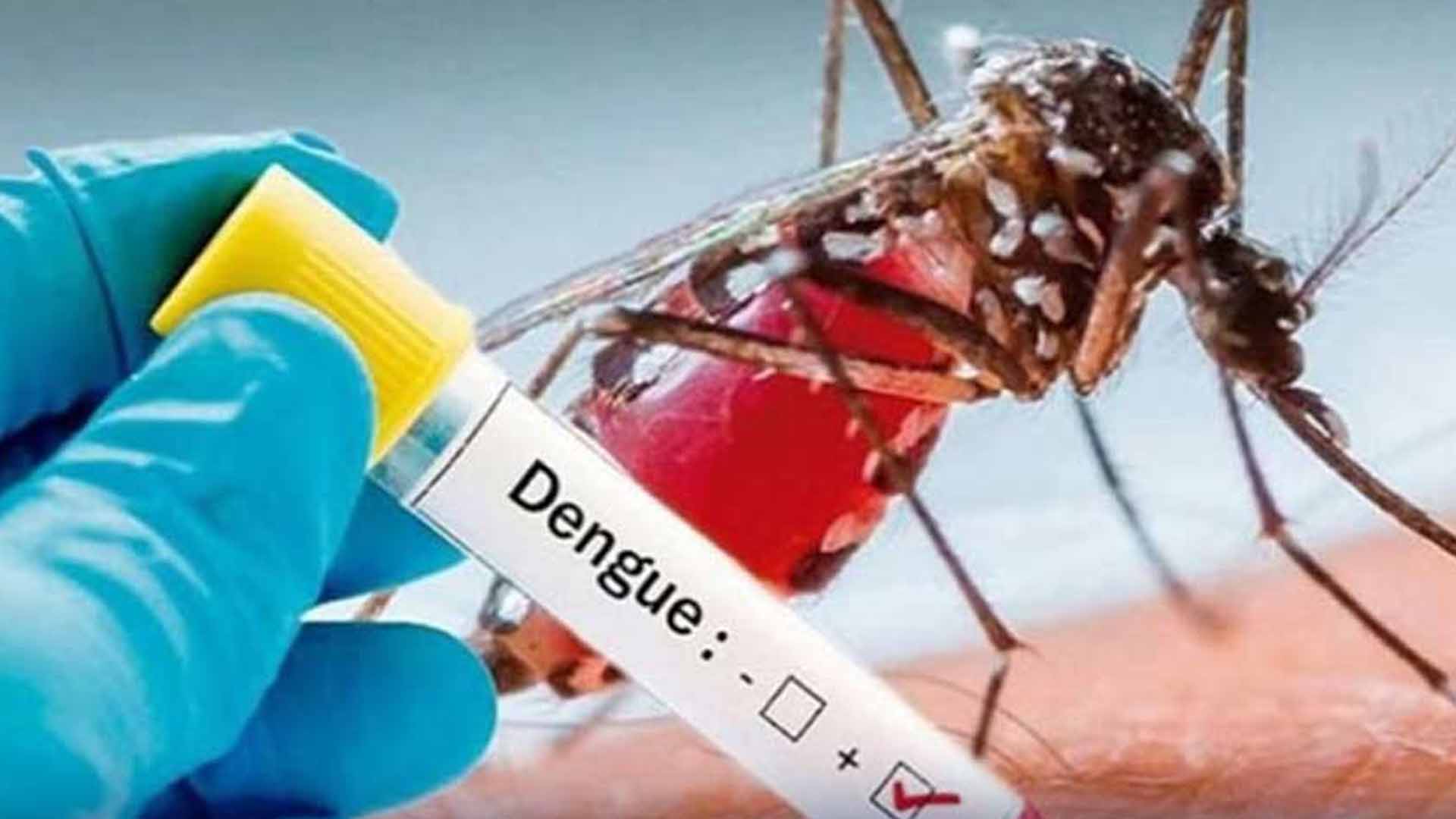 سہیل آفریدی لانگ مارچ میں مصروف،ڈینگی خیبر پہنچ گیا ،101 کیسز رپورٹ