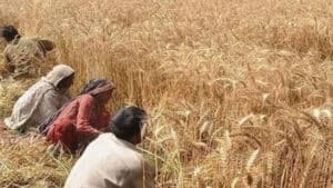 زرعی ادویات کا کاروبار کرنے والے افراد کے لیے بڑی خوشخبری