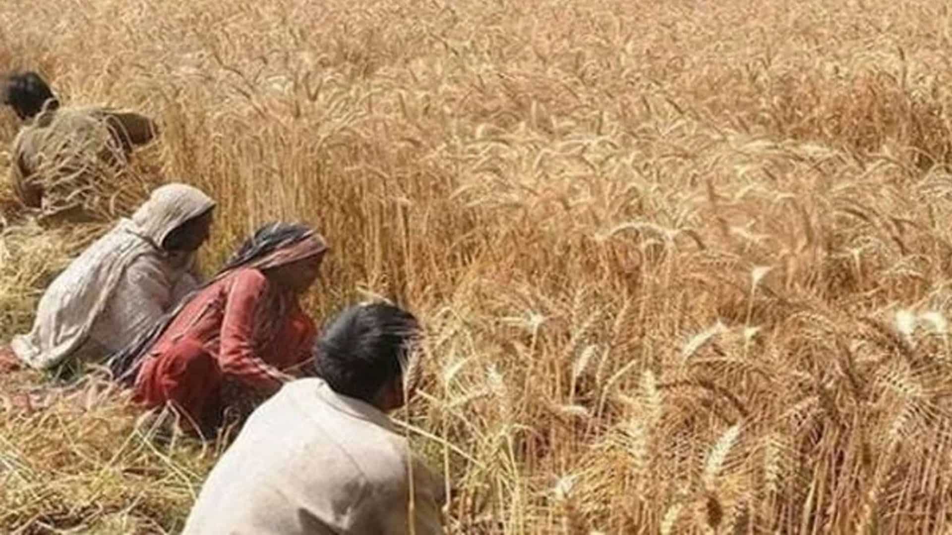 زرعی ادویات کا کاروبار کرنے والے افراد کے لیے بڑی خوشخبری