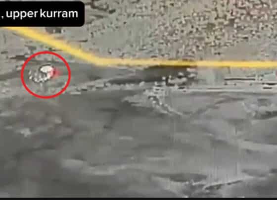 سکیورٹی فورسز